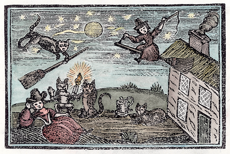 Actuel Moyen Age Ou Encore En Train De Voler Divers Objets De La Vie Quotidienne Pour Obliger Leurs Maitres Et Maitresses A Venir Jouer Avec Eux Rien N A Change