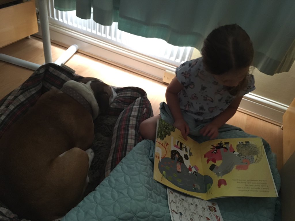 AVLH_1990's tweet photo. @morley_newlands #MNASummerReadingBingo checking 4 of the boxes this morning;
•under a blanket
•to a pet
•in pyjamas
•favourite author https://t.co/IqvHDQC4E6