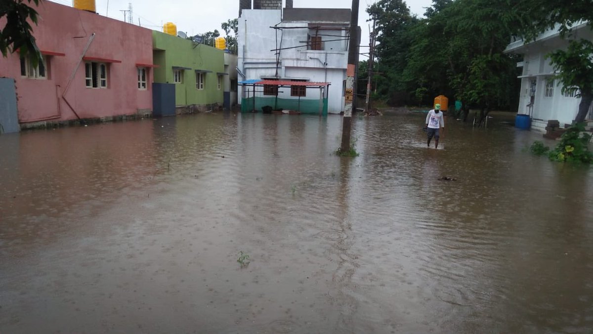 prajna_gr's tweet image. #Kushalnagar