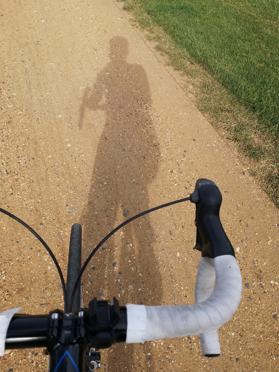 Laura Harrison tweet media