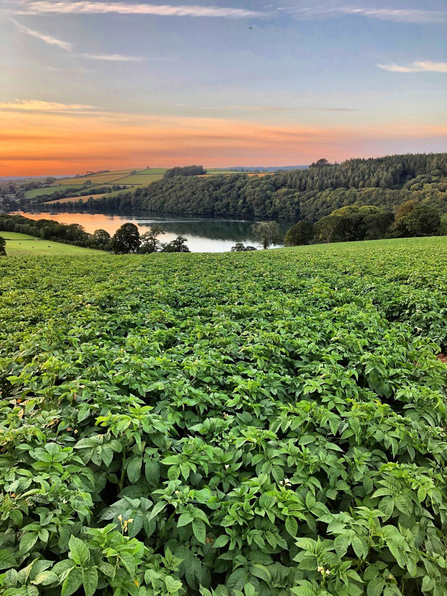 Colwith Farm tweet media