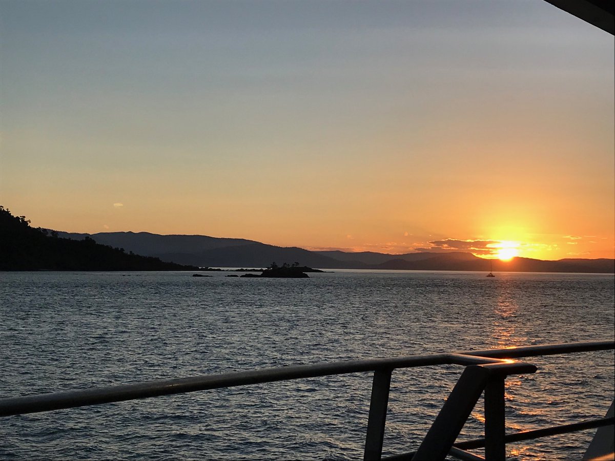 Envu Turf AUS tweet media