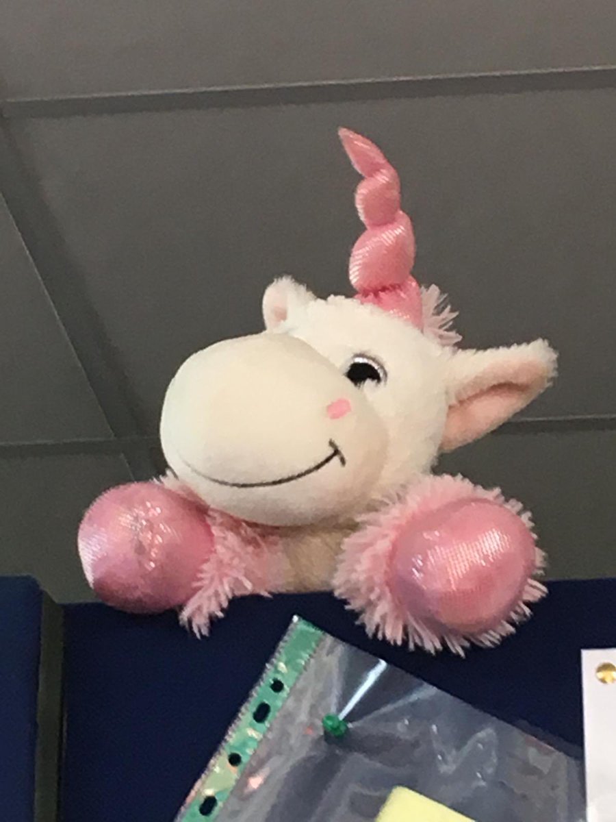 Uniron2018's tweet photo. Good morning happy campers! #nwunited19 https://t.co/E39hhmfjmX