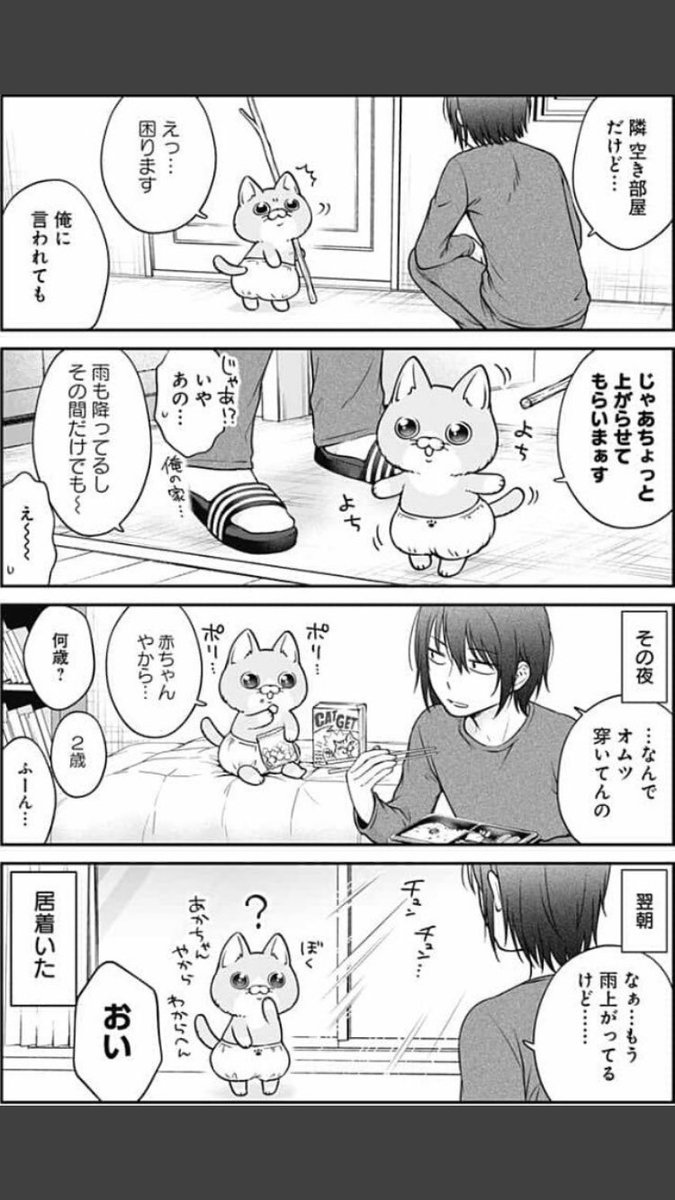 押しかけ居候ねこ    #世界猫の日  #ポムヨシ 
