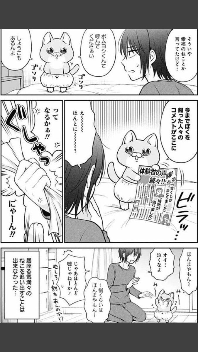 押しかけ居候ねこ    #世界猫の日  #ポムヨシ 