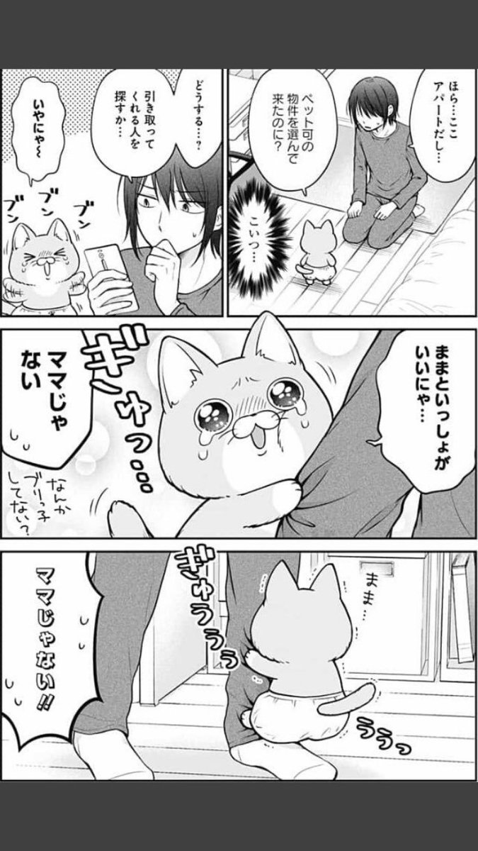 押しかけ居候ねこ    #世界猫の日  #ポムヨシ 