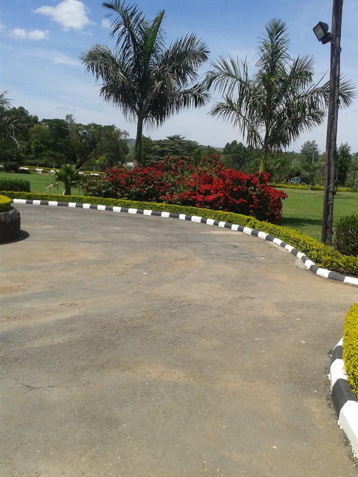 Passionsltd's tweet photo. The styles you choose are up to you, we will do it the exact way you want it. call us on +256 782 451967
+256 754 451967 #HomeAlone #beautifulhome #houses #compounddesign https://t.co/mnMBmWK7md https://t.co/f1oiqaZuqi
