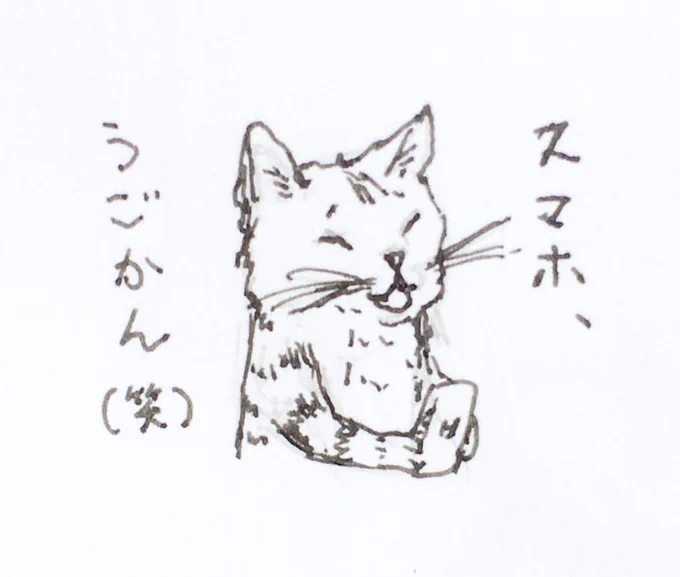 外で何もできなさ過ぎて笑っちゃう。90年代に戻っただけなのに? 