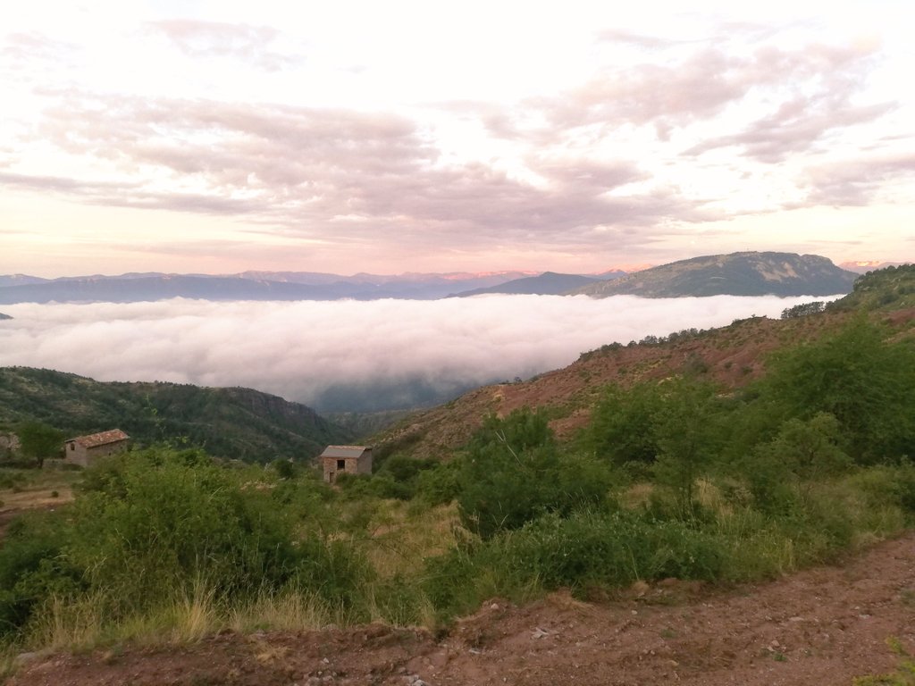 chetcuti3's tweet photo. Que le réveil fu dur à 3h30 ce matin !!!! 
Mais quelle magie d'être à cet endroit au lever du soleil et y déposer les filles pour la dernière miellé de la saison https://t.co/AW4DJ5x7A3