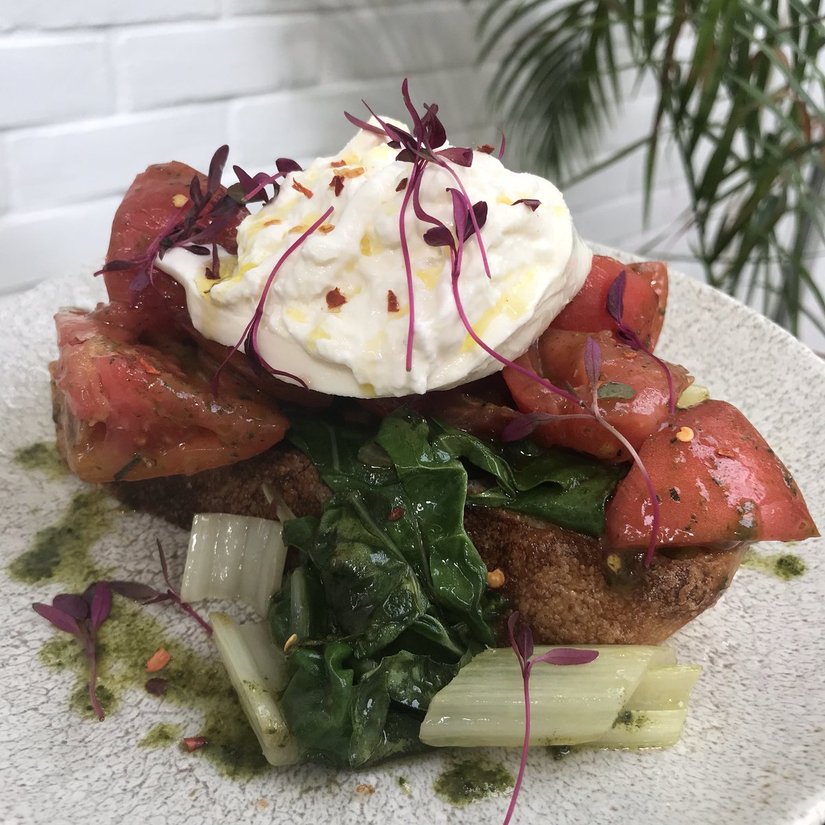 Burrata, sautéed chard, <a href="/FarmerPedro/">Pete Thompson</a> heritage tomatoes all on a garlicky <a href="/trevthebaker/">the baker</a> Sourdough bruschetta 🤤 
@angliaproduce <a href="/HJfinecheeses/">Hamish Johnston</a> <a href="/trinityworksco1/">Trinity Works</a> #bruschetta #tomatoes #chard #allotmentveg #heritagetomatoes #lunch #brunch #local #seasonal #tasty #sourdough #essex