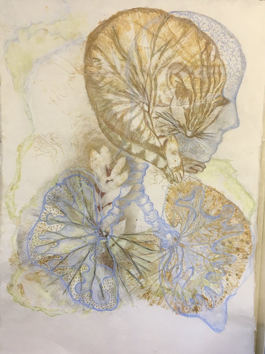 #Melancholia #cats on my mind #drawing 100 x 140 cm #cat sleep-ins, #katten #portret #rodekatten #InternationalCatDay