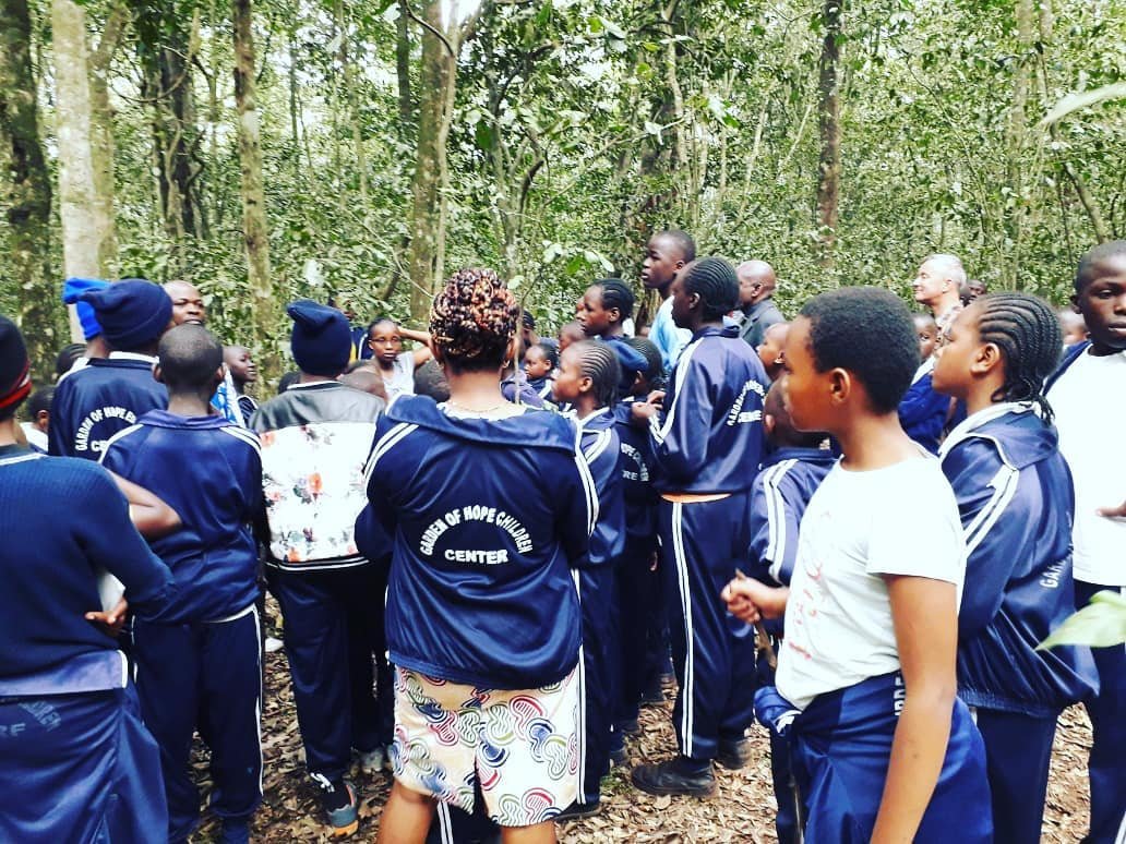 WangariMaathai's tweet photo. Forests have so many benefits to the human health. Its important to take a walk in the forest once in a while. For these kids it was their first time surrounded by all this nature, their excitement was unimaginable! #wanakesho #greenjeneration #karuraforest #everydayeducation https://t.co/QPI0FIzuZy