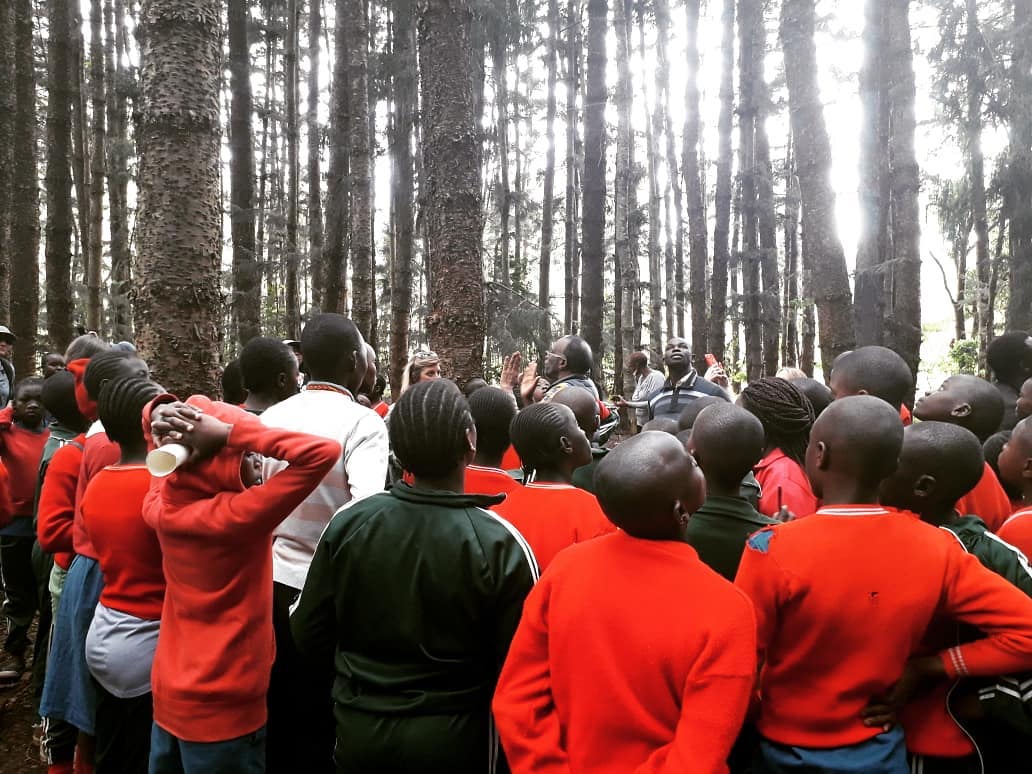WangariMaathai's tweet photo. Forests have so many benefits to the human health. Its important to take a walk in the forest once in a while. For these kids it was their first time surrounded by all this nature, their excitement was unimaginable! #wanakesho #greenjeneration #karuraforest #everydayeducation https://t.co/QPI0FIzuZy