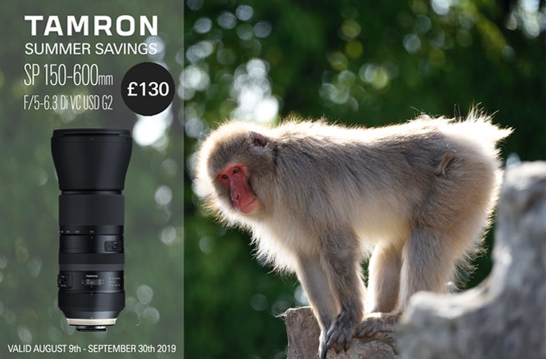 You`re never too far from a great close-up! From now until the end of September Save £130 when purchasing a Tamron SP 150-600mm F/5-6.3 Di VC USD G2 Canon/Nikon Fit. Redemption BY VOUCHER CODE ONLY via participating Tamron UK retailers. #TamronUK #Tamronlenses