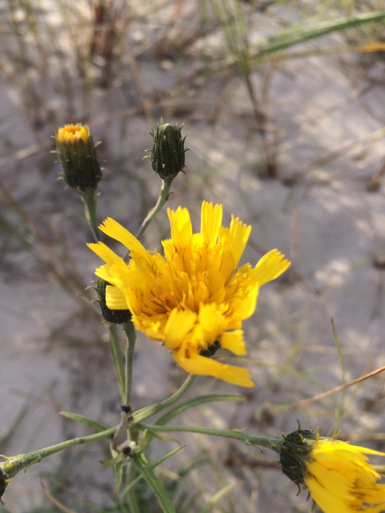 Mathgamain's tweet image. Bellum Omnium Contra Omnes - The Natural State