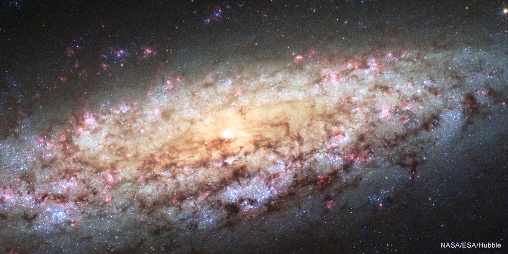 ermioni_D's tweet photo. Chandra is gazing at a group of galaxies in #Draco! in sky swirls this dwarf #spiralgalaxy #NGC6503. Located on the edge of a region of #space called the Local Void, the galaxy is roughly 30,000 light years across - about 1/3 of the size of our #MilkyWay!
#astrophysics #Science https://t.co/gSbSpUsINr