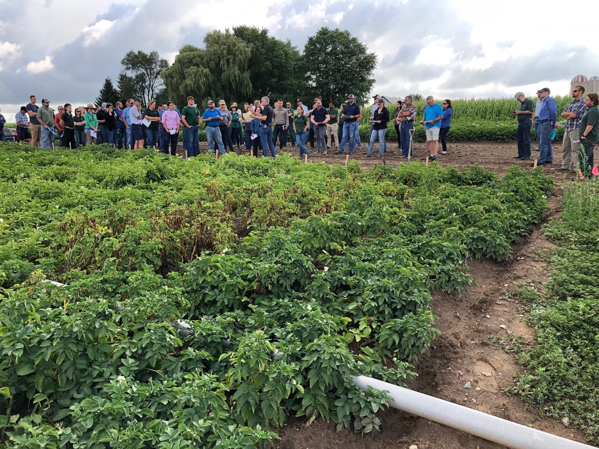 Great turnout at this year’s #potato field day at the Montcalm Potato #Research Farm. ⁦@CANRatMSU⁩ ⁦@MIPotatoes⁩ ⁦@MSUAgBio⁩