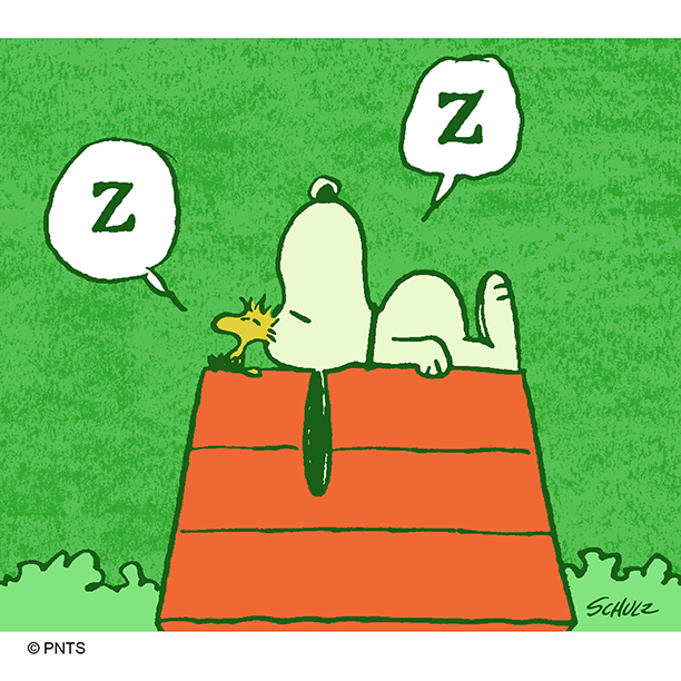 Snoopy's tweet photo. The lazy days of Summer. https://t.co/zShFyjX3eI