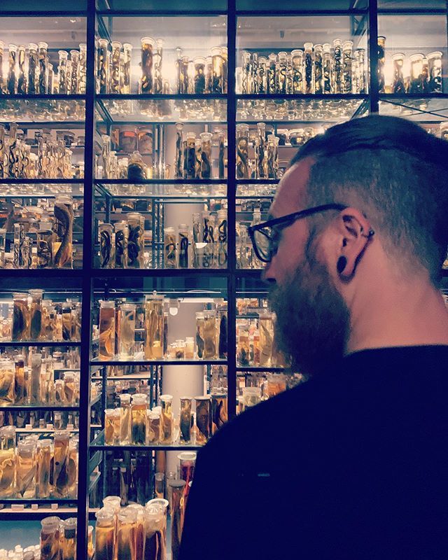 TwoVerySerious's tweet photo. Loads of old dead animals. And one old live one. https://t.co/ZOiwjPHp8P https://t.co/pctDbiBmVF