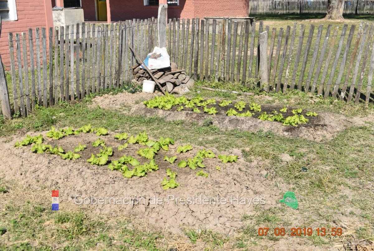 En el marco del proyecto piloto "Huertas Estudiantiles" implementado por la Secretaría de la Juventud en conjunto con la Secretaría de Agricultura y el Ministerio de Agricultura y Ganadería (MAG), verificaron la huerta del colegio Bernardino Caballero de la zona de Cadete Pando