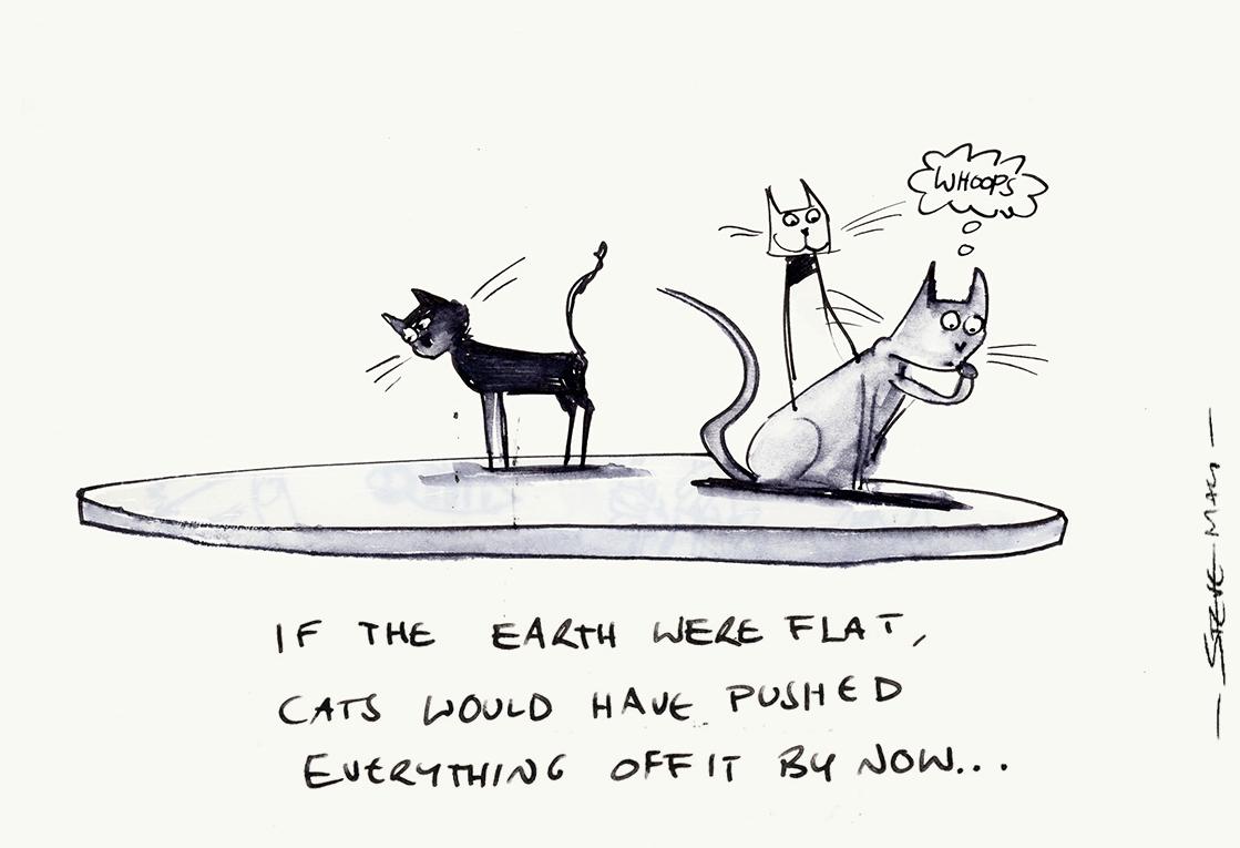 If The Earth Was Flat Cats Would Have Pushed Everything Off If The Earth Was Flat Cats Would Have Pushed Everything Off