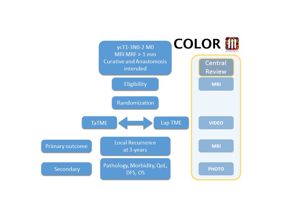 COLOR III tweet media