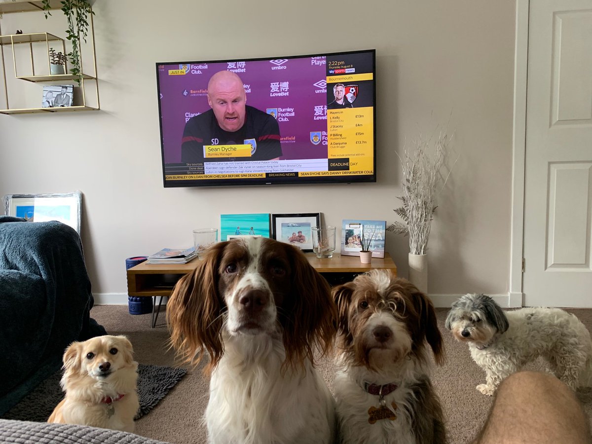 Monko77's tweet photo. I am 750% more interested in @SkySportsNews #DeadlineDay than the dogs are 🐶

p.s. Newcastle, hurry up and announce Mbappe https://t.co/lgN21x8Vap