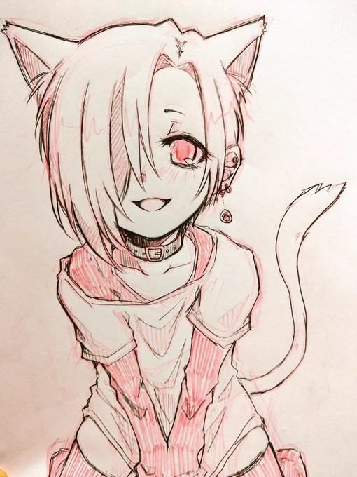 #今日の小梅ちゃん
#世界猫の日 
にゃんにゃんにゃーん。 