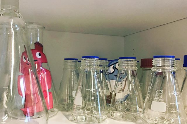 iGEM_Copenhagen's tweet photo. auto-tweet from https://t.co/ugEmopnRGp : Look who we found in the storage room today ๐ igemlabpats #MikeTheMicrobe #ChiaTheChitinase #igem #igem2019 https://t.co/wDrc5DmYRi