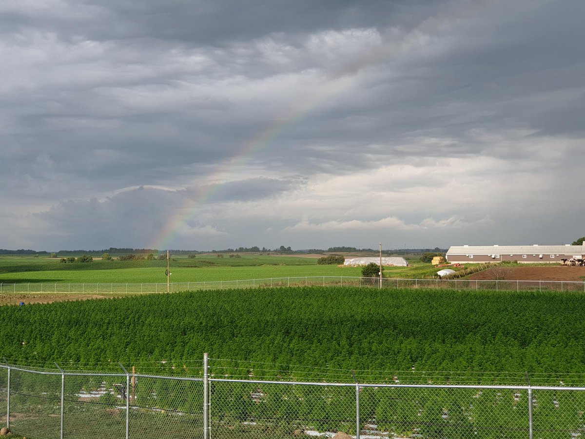 jeanettern1's tweet photo. Rainbow over #48North #GoodFarm https://t.co/2NhCxuRCs5