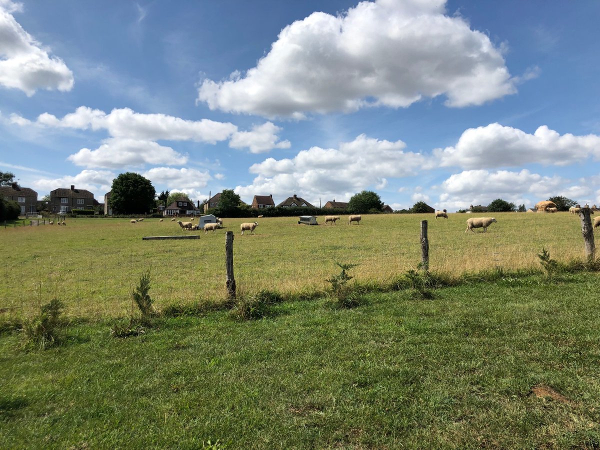 CMauchan's tweet photo. #Farm24 Great to spend the day on farm with Luke and Rob discussing livestock record keeping, farm assurance and the opportunity for improvement.
Excited to help simplify their farm record keeping and get them #BacktoFarming https://t.co/Dj7RxkvGkU