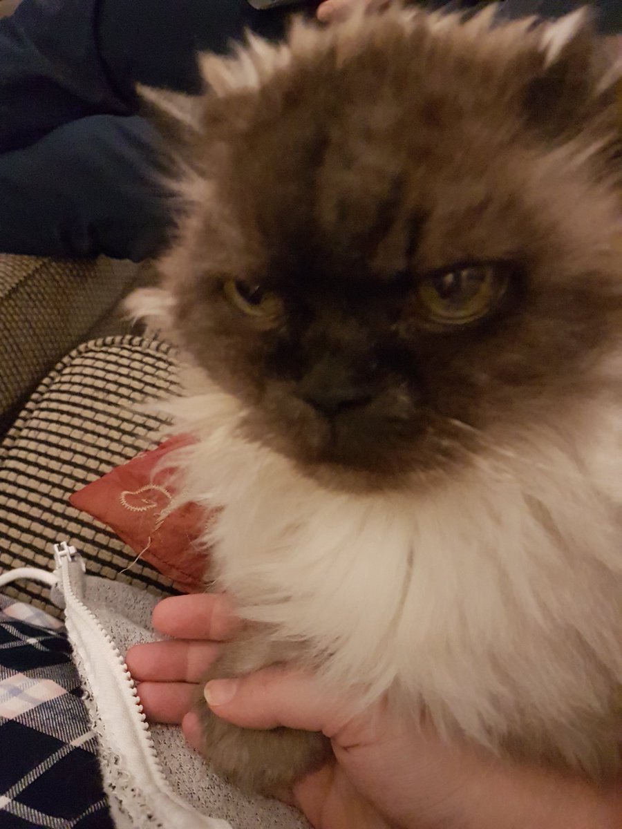 Laura Davis tweet media