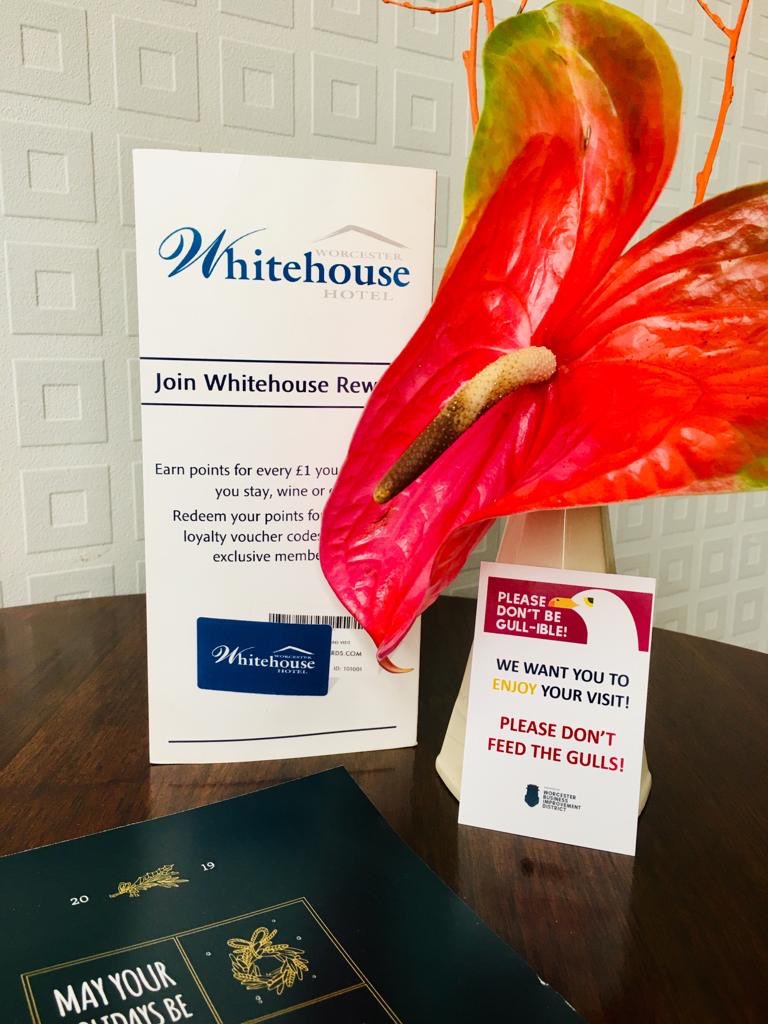WorcesterBID's tweet photo. Excited to see our latest phase of the gull campaign on show at our food and drink businesses #Worcester https://t.co/je4Z7xw2SI
