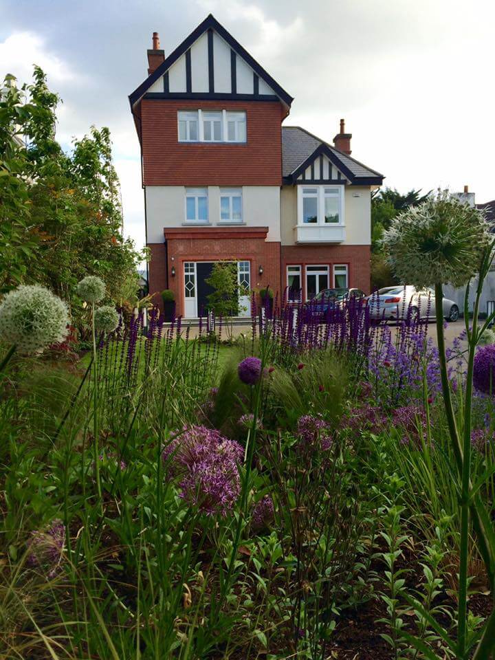 Colourful, high impact planting from <a href="/greentouch_ie/">Greentouch</a> 
See more of their work at:
trustedpeople.ie/professional/g…

#GardenDesign #Planting #Landscaping #Colour #DublinGarden #TrustedPeople