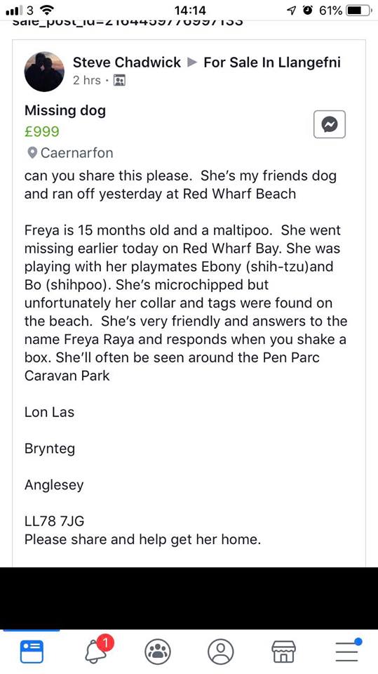 gelert01's tweet photo. 🔴CODE RED🔴 #FREYA IS MISSING 07/07/2019
🔴#PENPARC #CARAVANPARK #LONLAS #BRYNTEG #LL787J #Anglesey
WE NEED URGENT RT'S TO GET THIS PUP HOME PLIS https://t.co/f7aIYKyoPL
