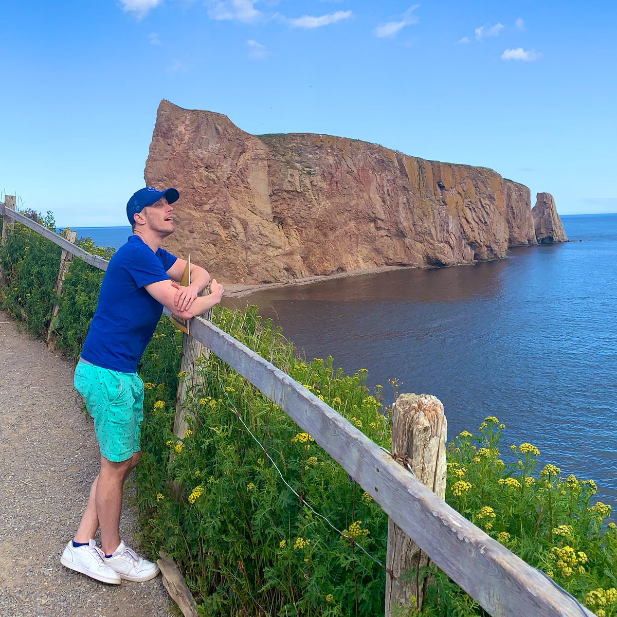 Michael Warner tweet media