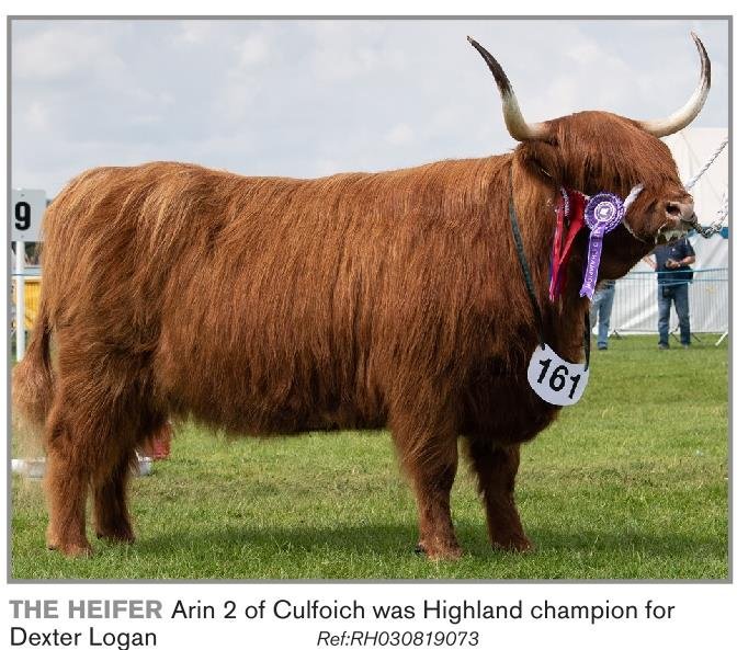 davidsonsfeeds's tweet photo. We have had many customers that have had show success over the last few weeks! Here are our some who have been included in @scottishfarmer coverage of East Kilbride, Carnwath, Stranraer, Stewartry, Lorne and Dumfries! #anotherdavidsonswinner #topnutrition #showcoverage https://t.co/i18bskNm7w