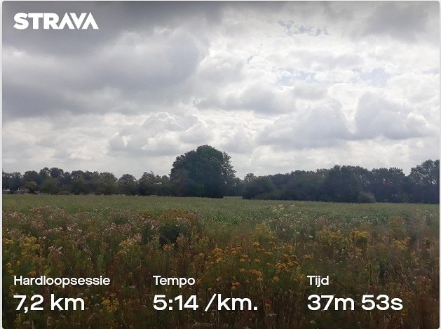 debbierijswijk's tweet photo. Hoofd uit, hardloopschoenen aan. #runningismytherapy #hardlopen #running #runner #ikloophard #runnersofinstagram #instarunners #runninggirl #runninglife #runningmotivation #cloudymind #cloudysky https://t.co/TRTaP3byMv