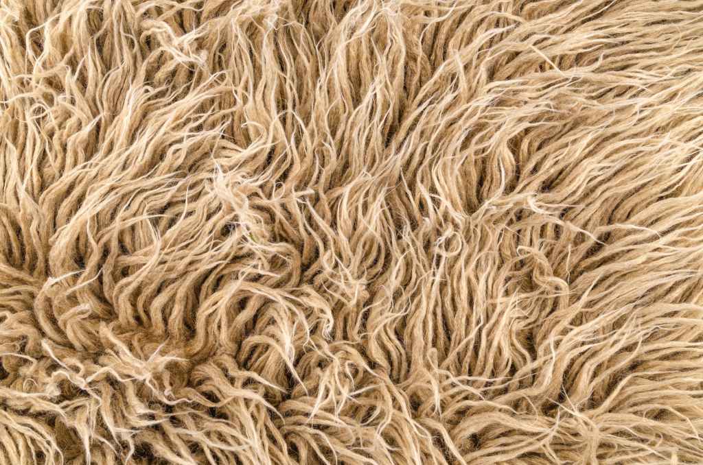 dalia_sendra's tweet photo. Call for Papers – Textile &amp; Place https://t.co/o4b1EMXlxA https://t.co/8mr7m7DYQh