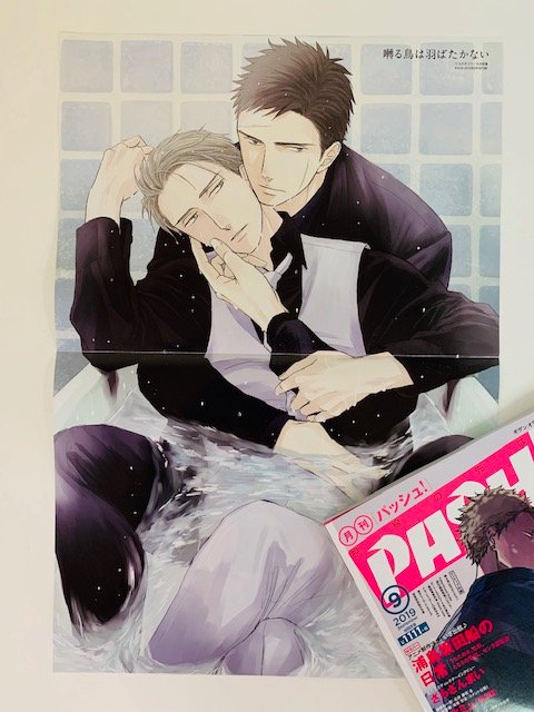 Pash 編集部 Pash です 明日8 9発売9月号ピンナップ 囀る鳥は羽ばたかない はヨネダコウ先生描き下ろし 百目鬼の腕と視線に独占欲を感じます Saezuru 9月号の詳細はこちらをチェック T Co Hr4jw9jsbs T Co 5kougkyacc Pash 編集部 Pash です 明日8 9発売9月号ピンナップ 囀る鳥は羽ばたかない はヨネダコウ先生描き下ろし 百目鬼の腕と視線に独占欲を感じます Saezuru 9月号の詳細はこちらをチェック T Co Hr4jw9jsbs T Co 5kougkyacc