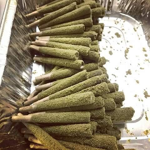 MiloMike5's tweet photo. - [ ] #ganja #dab #dank #shatter #cbd #weedporn #mmj #terps #maryjane #710society https://t.co/DfuFhNo7Nd