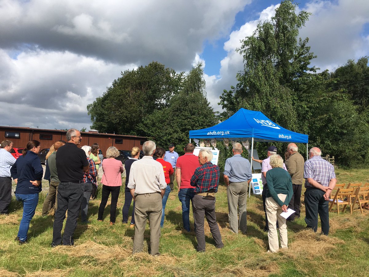 allaboutthecows's tweet photo. Working with #shropshires sheep farmers today at the @AHDB_BeefLamb #talkingsheep event. #Farm24 #learningissexy https://t.co/S5Ij606Tgx