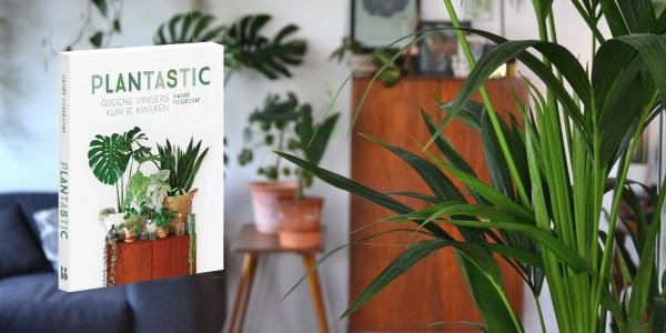 GroenVandaag's tweet photo. Plantastic!
In de eerste week van september verschijnt bij Blossom Books #Plantastic! Groene vingers kun je kweken van Mandy Bollegraf. Het #plantenboek voor iedereen die zelfs #cactussen niet in leven kan houden Γ³f gewoon meer groen in huis willen. #kamerplanten @blossombooks https://t.co/OlhnxSJHvf
