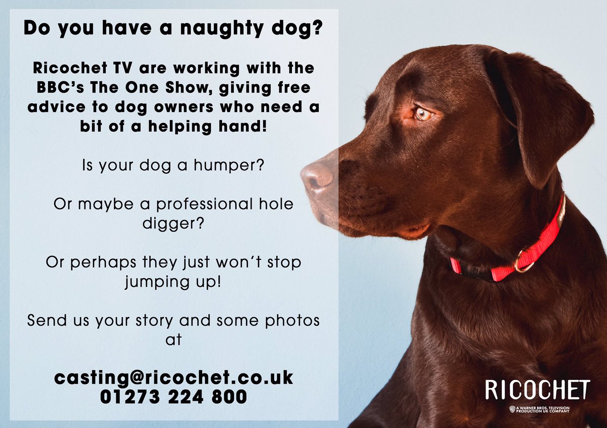 FilmTVCallsUK's tweet image. Got a naughty doggie?
A humper? A hole digger? A runaway?
We want to hear from you. 
Email casting@ricochet.co.uk 

Amuse us with your stories too just for fun 😂 #DogCasting #AnimalCasting