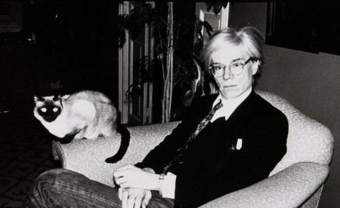 AsmodeaC's tweet photo. Buenos días a todos.
"Art and cats" 🎨🐱 #DiaInternacionalDelGato 
1- Kandisky 2- Matisse 3- Picasso 4- Andy Warhol. https://t.co/cgPqkq6Etb