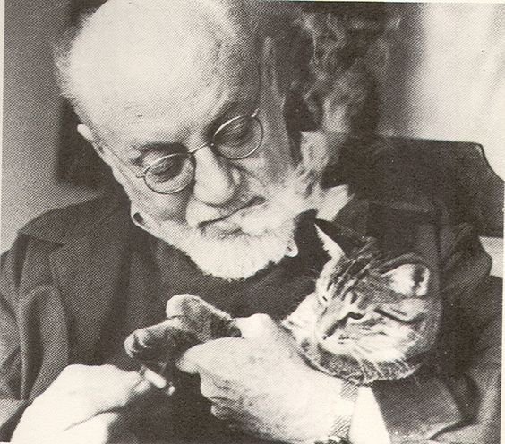 AsmodeaC's tweet photo. Buenos días a todos.
"Art and cats" 🎨🐱 #DiaInternacionalDelGato 
1- Kandisky 2- Matisse 3- Picasso 4- Andy Warhol. https://t.co/cgPqkq6Etb