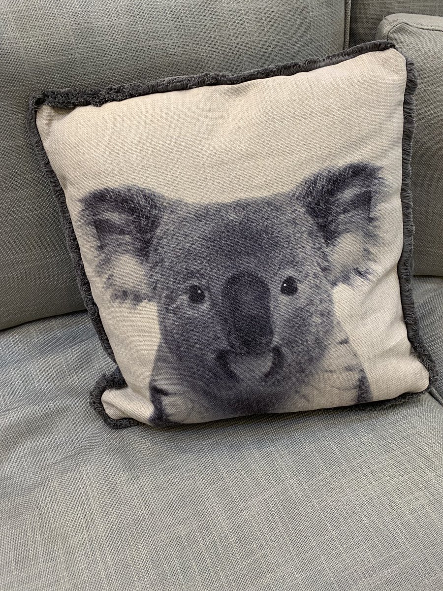EucaOnline's tweet photo. Euca 🌿 more than just a cleaning product.

👉Wildlife warriors
👉Eco-friendly 
👉Australian made and owned
👉Allergy and sensative skin 

https://t.co/PxP80rBEXk

#ecocleaning #euca #eucalyptus #safecleaning #allergyfriendly #environmentfriendly #sensitiveskincare #vegan https://t.co/YaquKObdgL