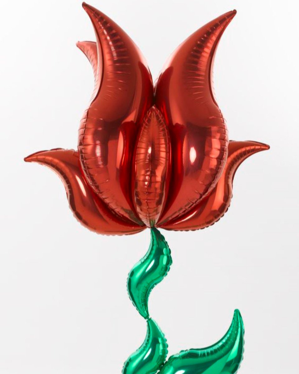 partyavenueltd's tweet photo. Check out this curved balloon design 🌹
-
📸Amscan Decorator 
- 
➡️ https://t.co/GrpEppi5jk
-
#flower #balloonflower #balloons #flowerballoon #curvedballoons #balloonideas #party #birthday #partysupplies #partyavenue @amscanuk https://t.co/DJu2XoxMfz