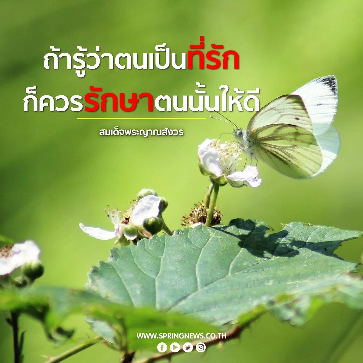 #ธรรมะวันอาทิตย์

ถ้ารู้ว่าตนเป็นที่รัก ก็ควรรักษาตนนั้นให้ดี
--- สมเด็จพระญาณสังวร ---

#ธรรมะ #ธรรมะเช้านี้ #ข่าวจริง #สปริงนิวส์ #springnews