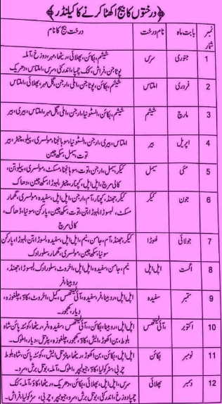 All Foresters Network tweet media